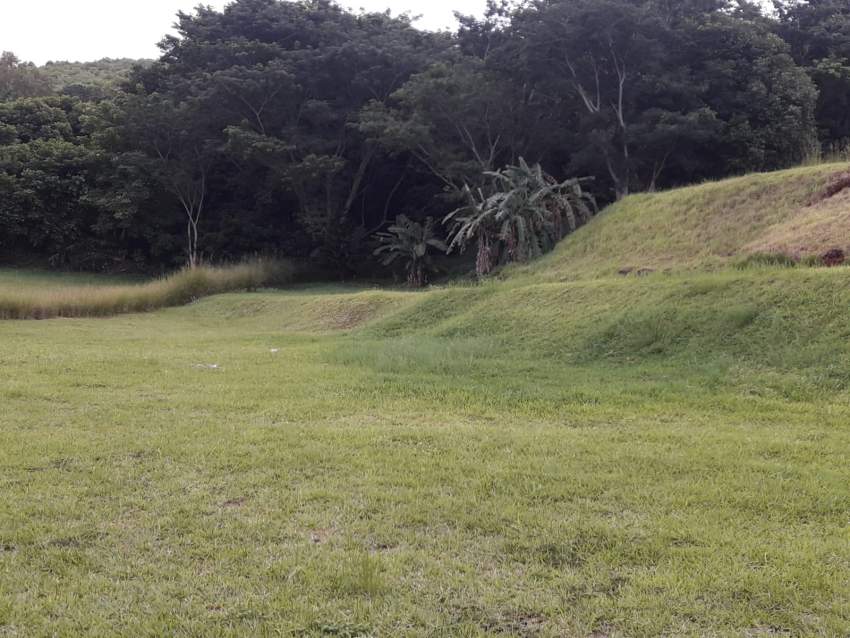 Real land - 2 - Land  on Aster Vender