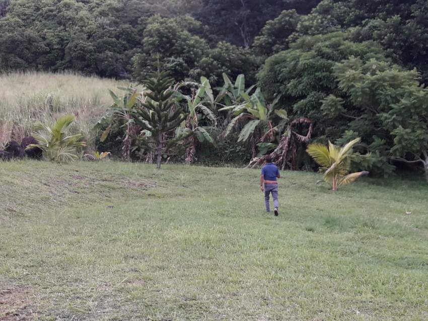 Real land - 1 - Land  on Aster Vender