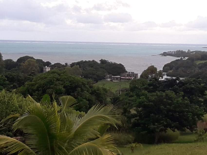 Real land - 4 - Land  on Aster Vender