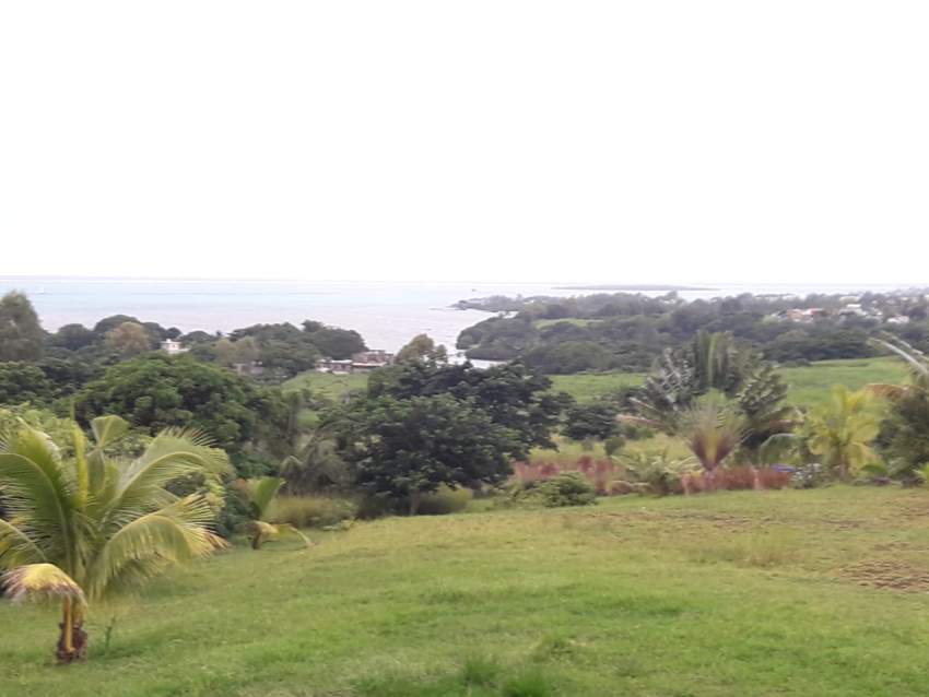 Real land on Aster Vender