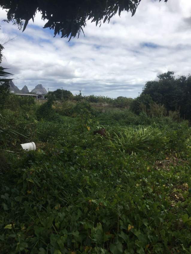 Vacoas land for sale 6.5 perche - 2 - Land  on Aster Vender