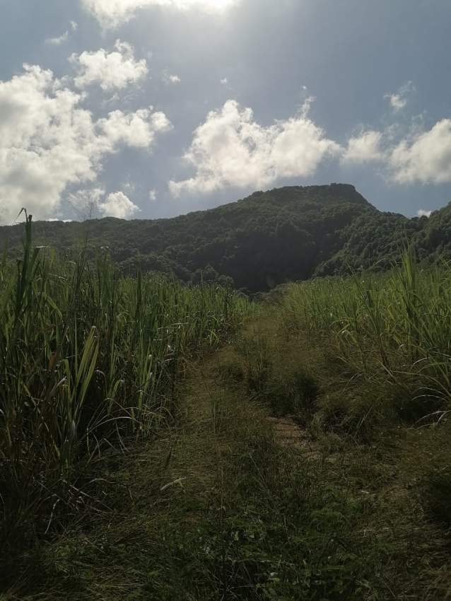 Real Estate - 5 - Land  on Aster Vender