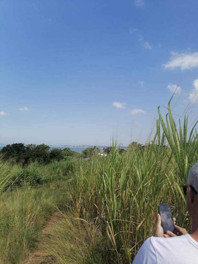 Real Estate - 3 - Land  on Aster Vender