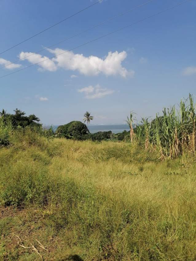 Real Estate - 1 - Land  on Aster Vender