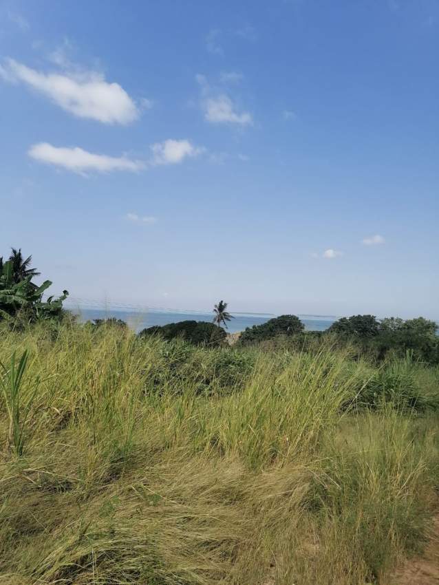 Real Estate - 4 - Land  on Aster Vender