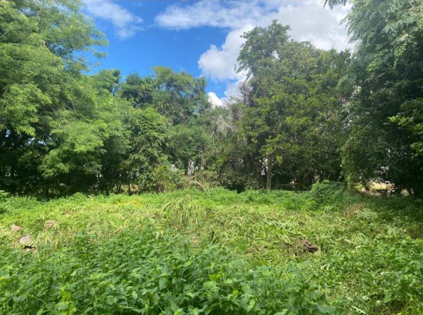 Terrain Résidentiel à Tamarin/Rivière Noire à Proximité des Gorges - 1 - Land  on Aster Vender