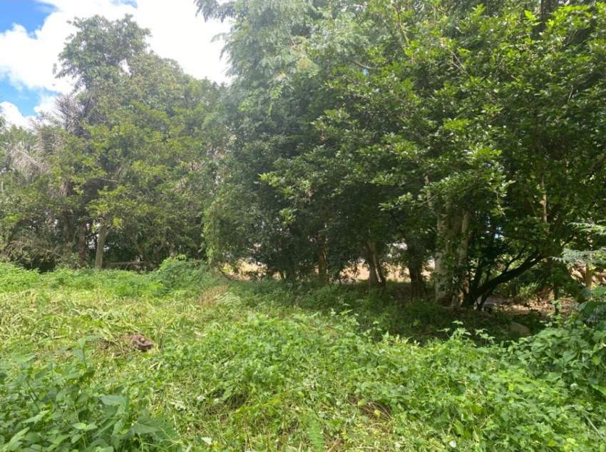Terrain Résidentiel à Tamarin/Rivière Noire à Proximité des Gorges - 2 - Land  on Aster Vender