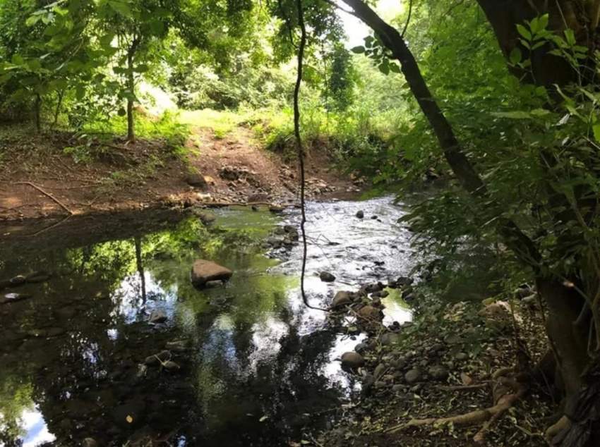 Terrain Résidentiel à Tamarin/Rivière Noire à Proximité des Gorges - 4 - Land  on Aster Vender
