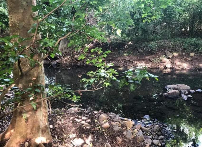Terrain Résidentiel à Tamarin/Rivière Noire à Proximité des Gorges - 3 - Land  on Aster Vender