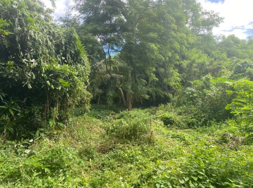 Terrain Résidentiel à Tamarin/Rivière Noire à Proximité des Gorges on Aster Vender