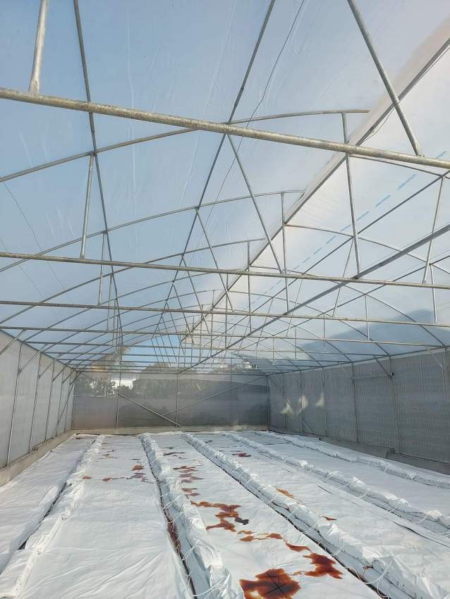 Hydroponic - 3 - Others  on Aster Vender