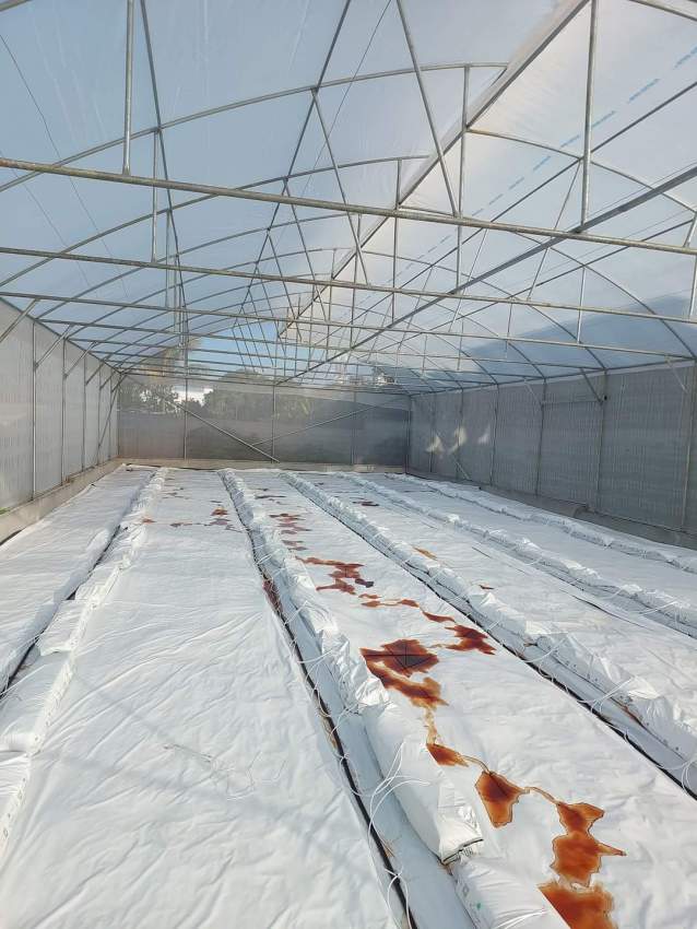 Hydroponic - 4 - Others  on Aster Vender