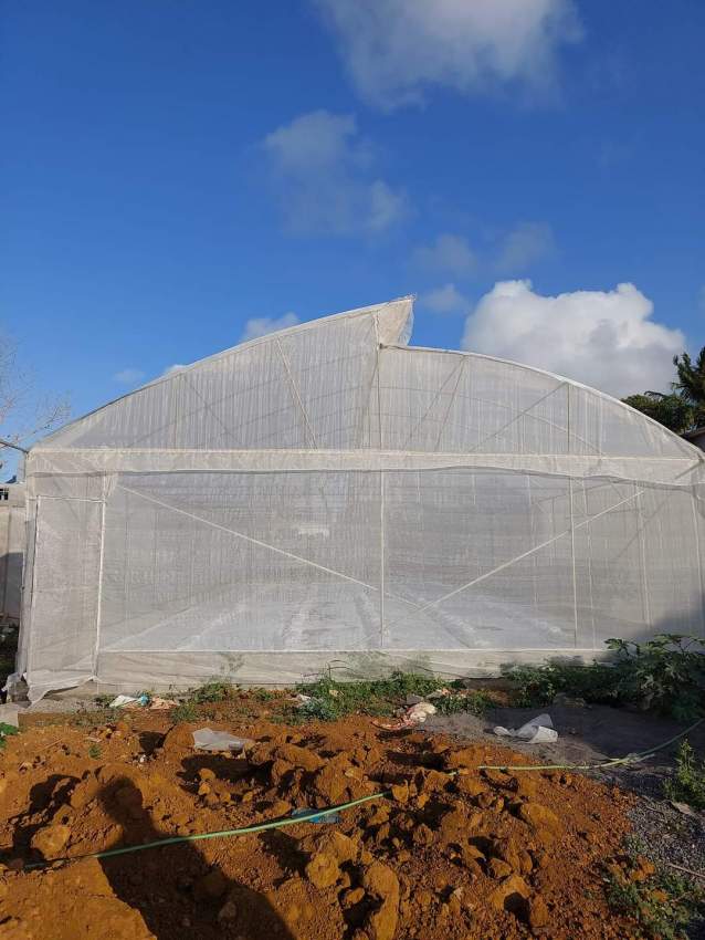 Hydroponic - 5 - Others  on Aster Vender