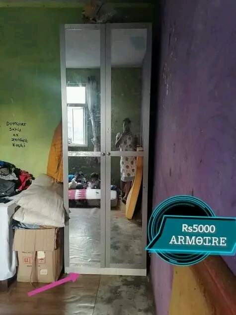 whole sale on Aster Vender