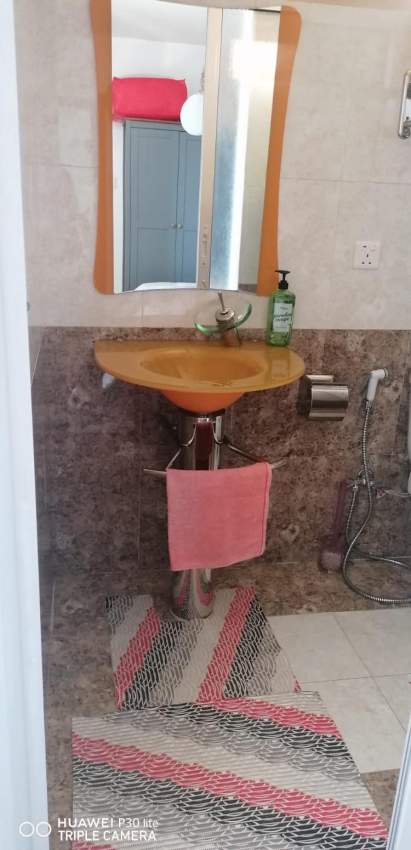 Price Dropped for beautiful apartment in Curepipe - 3 - Apartments  on Aster Vender