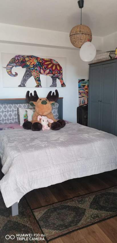 Price Dropped for beautiful apartment in Curepipe - 4 - Apartments  on Aster Vender