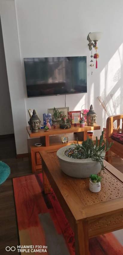 Price Dropped for beautiful apartment in Curepipe - 2 - Apartments  on Aster Vender