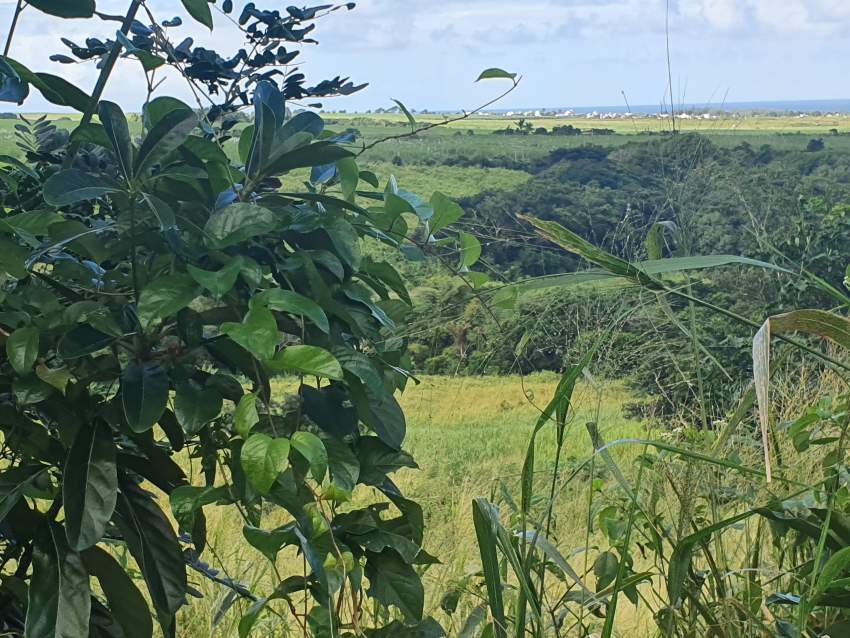 Agricultural land on Aster Vender