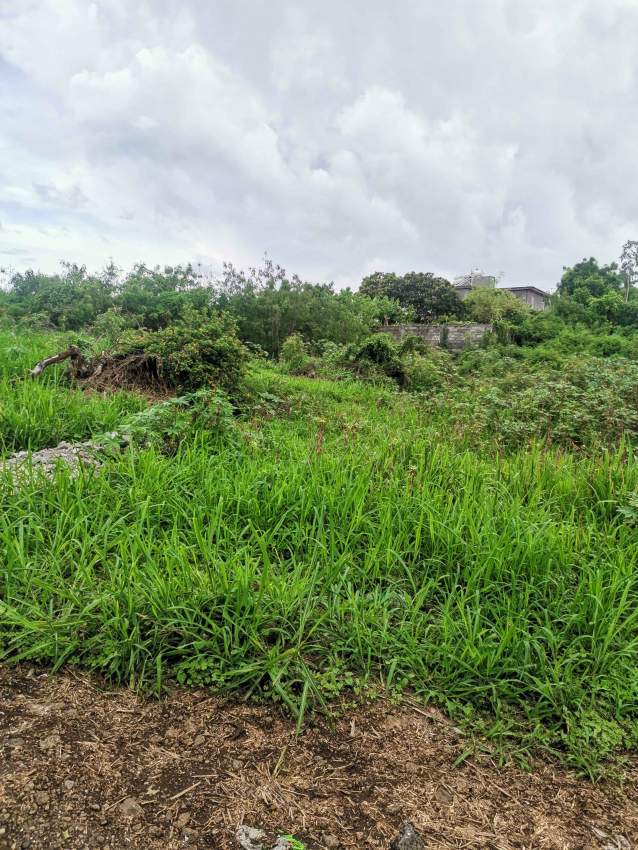 CHEMIN MELVILLE, MAMZELLE JEANNE, GOODLANDS TERRAIN A VENDRE - 0 - Land  on Aster Vender