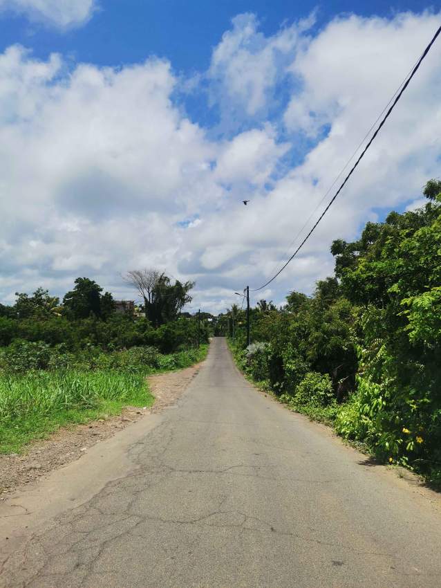 CHEMIN MELVILLE GOODLANDS – Melle Jeanne TERRAIN A VENDRE - 2 - Land  on Aster Vender