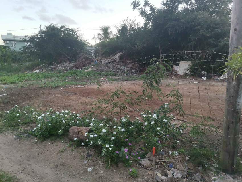 GRAND BAIE -A VENDRE TERRAIN RESIDENTIEL DE 315.27m2, - 4 - Land  on Aster Vender