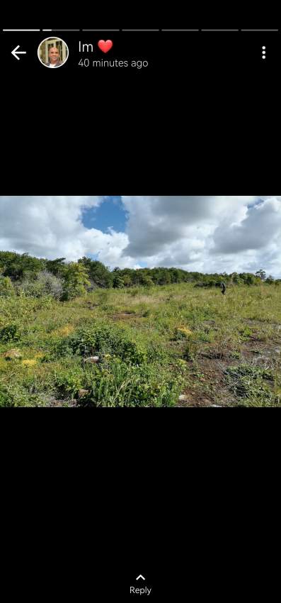 Land - 0 - Land  on Aster Vender