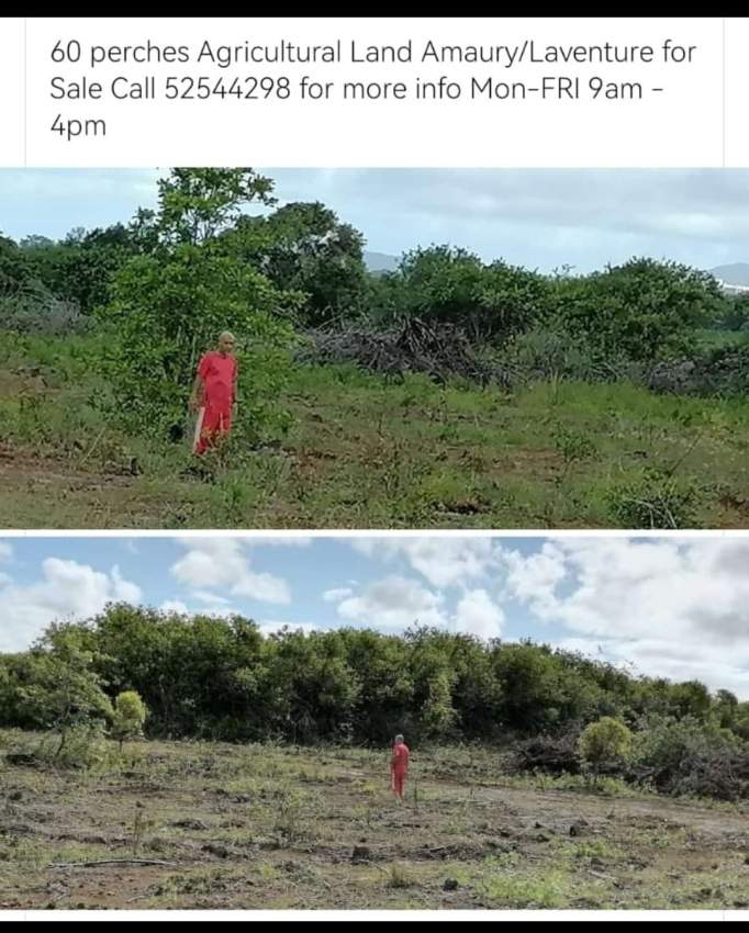 Land on Aster Vender