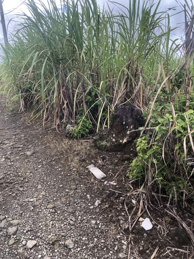 Land For Sale/ Terrain a vendre - 1 - Land  on Aster Vender