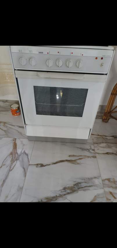 Electric and gas oven on Aster Vender
