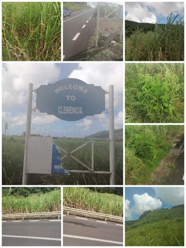 Agriculture land - 5 - Land  on Aster Vender