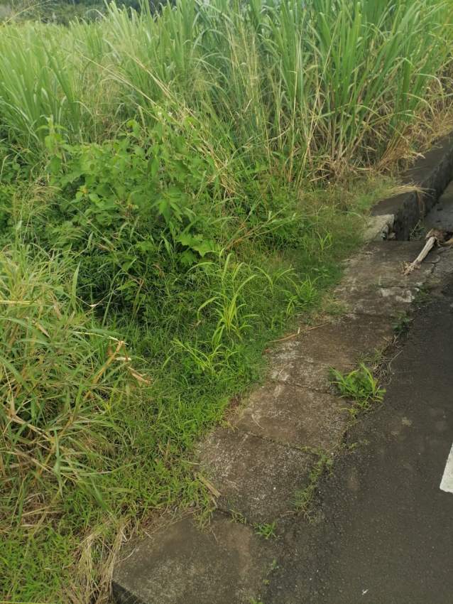 Agriculture land - 2 - Land  on Aster Vender