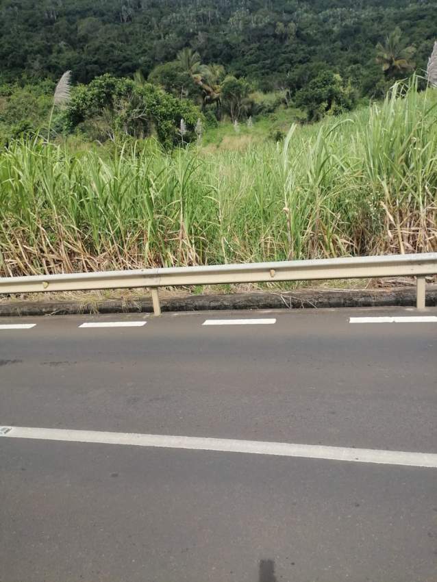 Agriculture land - 4 - Land  on Aster Vender