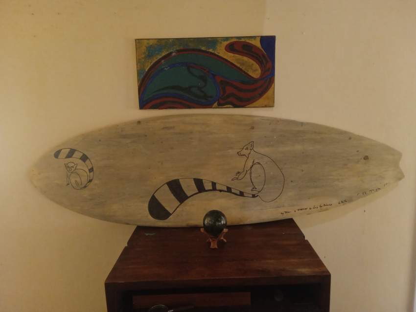 Surfboards + paintings - 0 - Interior Decor  on Aster Vender