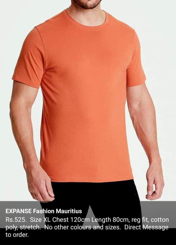 Men's Casual Smart New Arrivals Collection - 6 - T shirts (Men)  on Aster Vender
