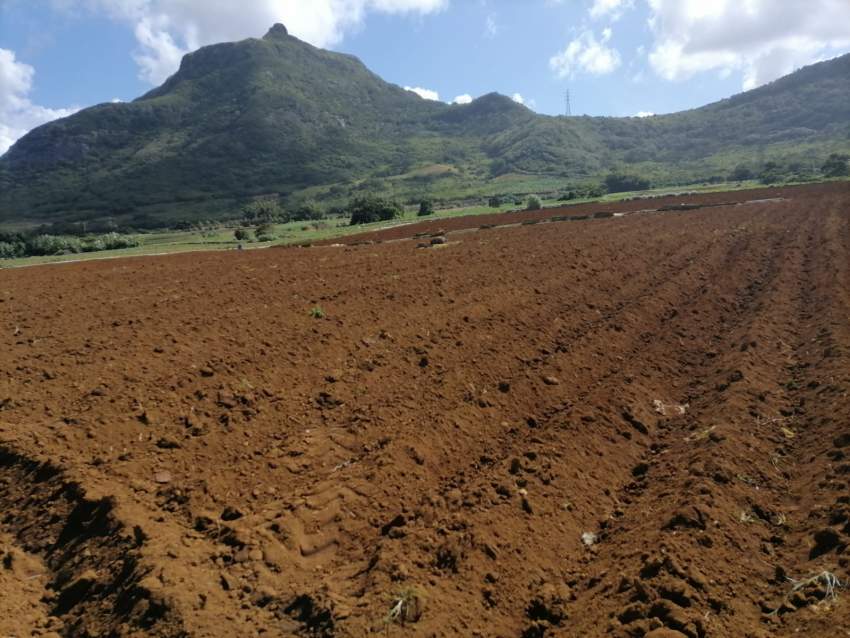 2 arpent Agricultural land in La Laura, Saint Pierre on Aster Vender
