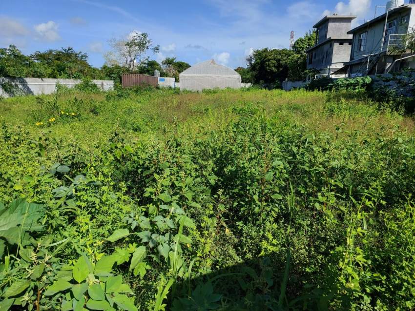 Land for sale - 1 - Land  on Aster Vender