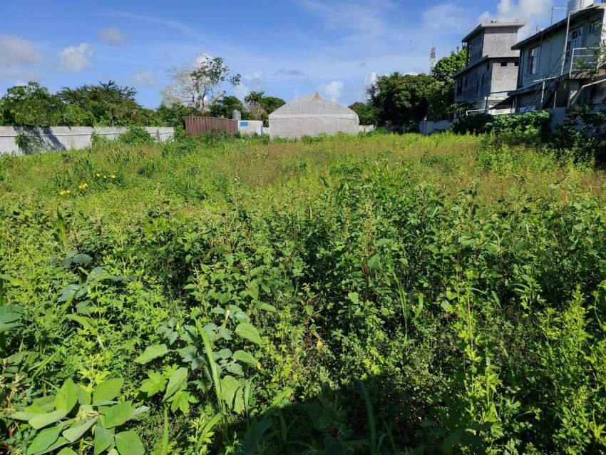 Land for sale - 4 - Land  on Aster Vender