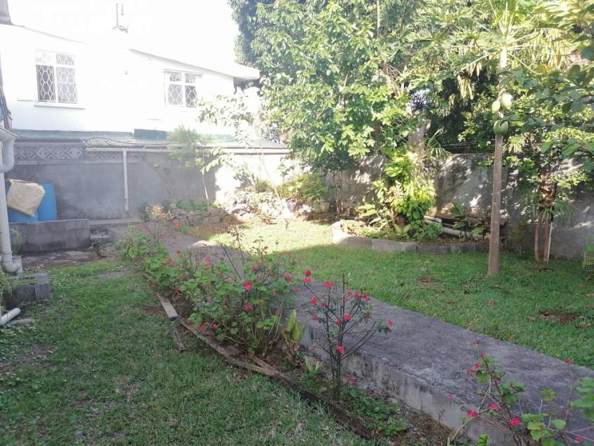 House for rent in sodnac - 4 - House  on Aster Vender