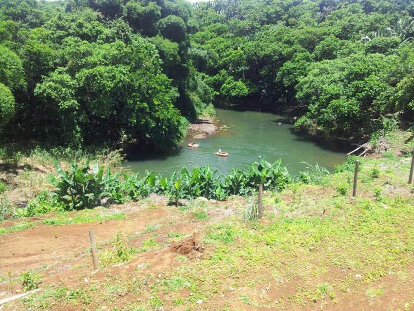 House in Mare D'Albert - 1 - House  on Aster Vender