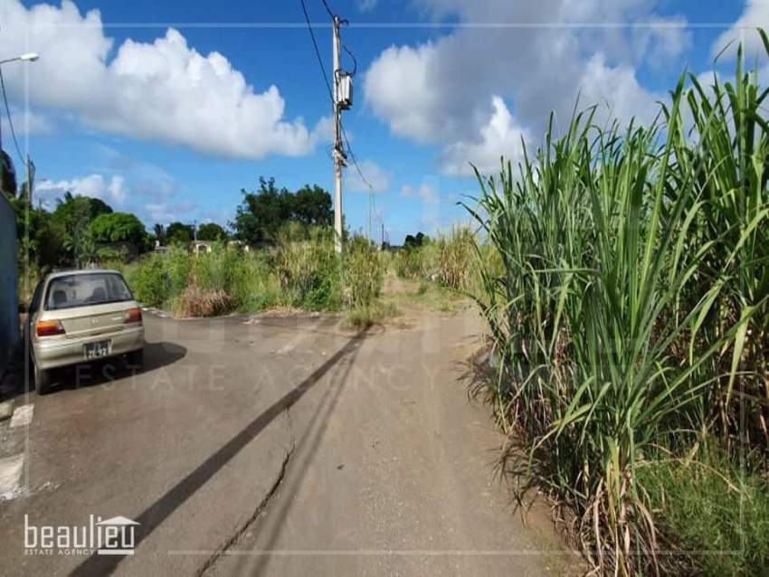 Two residential lands of 7 perches each are for sale in Bel Air, Flacq - 0 - Land  on Aster Vender
