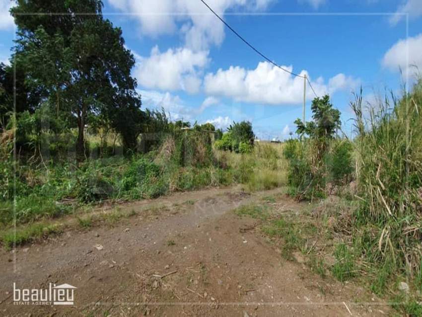 Two residential lands of 7 perches each are for sale in Bel Air, Flacq - 3 - Land  on Aster Vender
