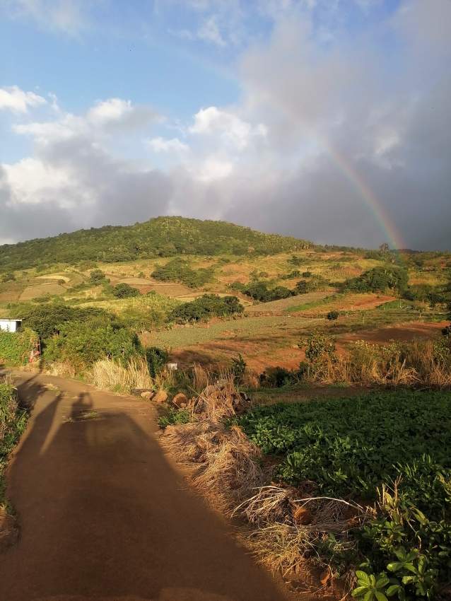 Agricultural land of 50perches on Aster Vender