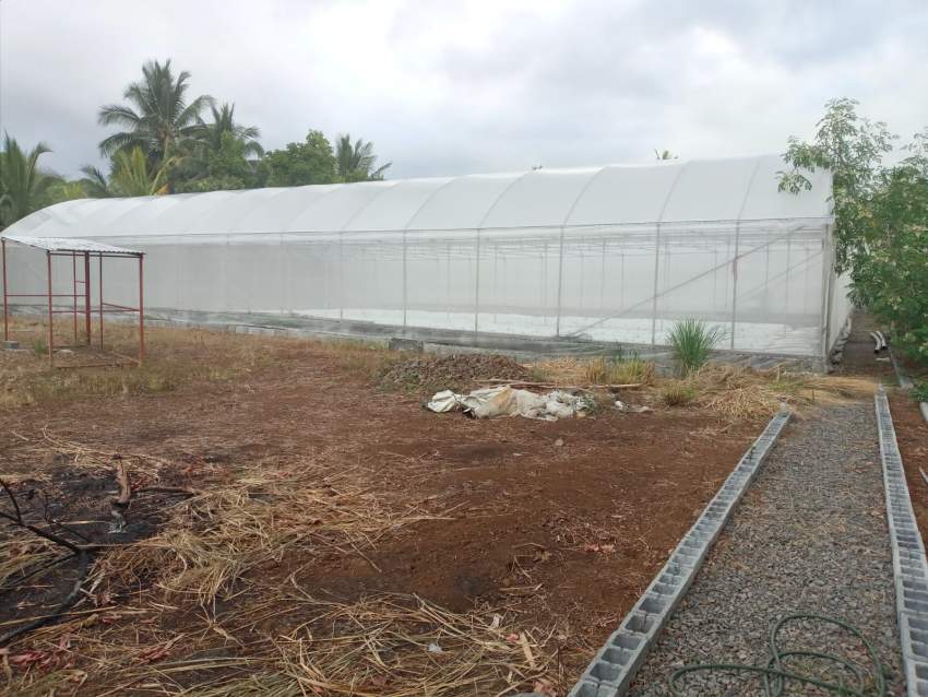 Greenhouse (La serre) for rent in the south - 1 - Land  on Aster Vender