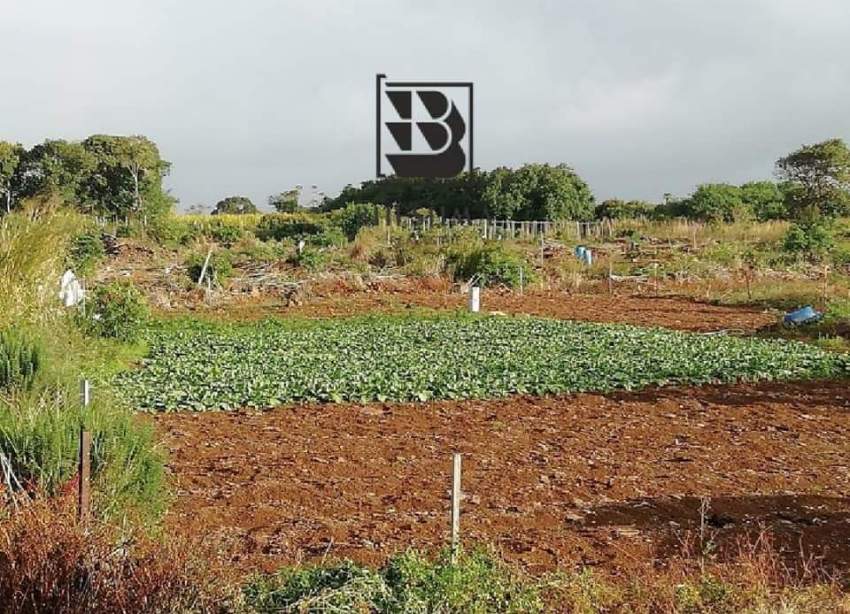 Plot for sale in Vacoas - Agricultural  - 5 - Land  on Aster Vender