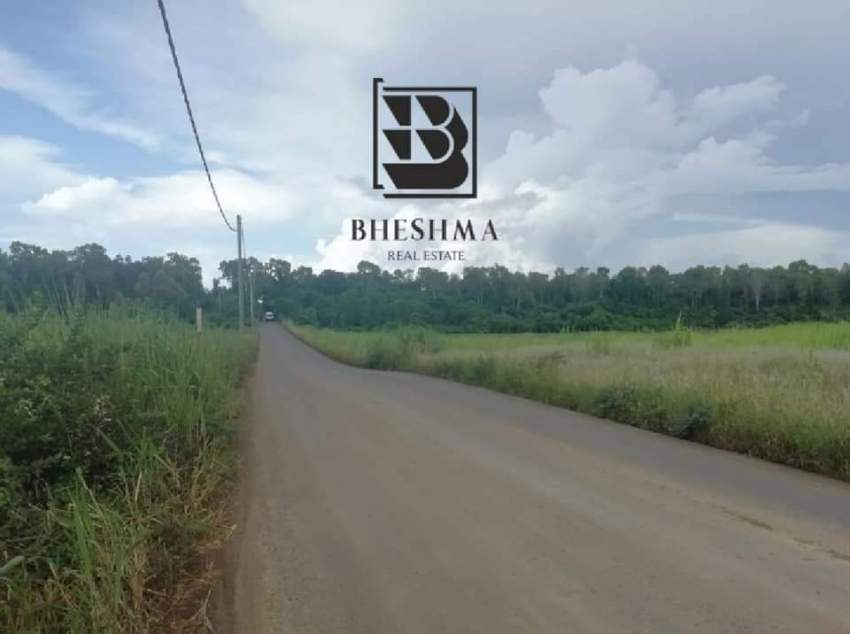 Plot for sale in Royal Road, Beau Plateau. Semi Agricultural.  - 5 - Land  on Aster Vender