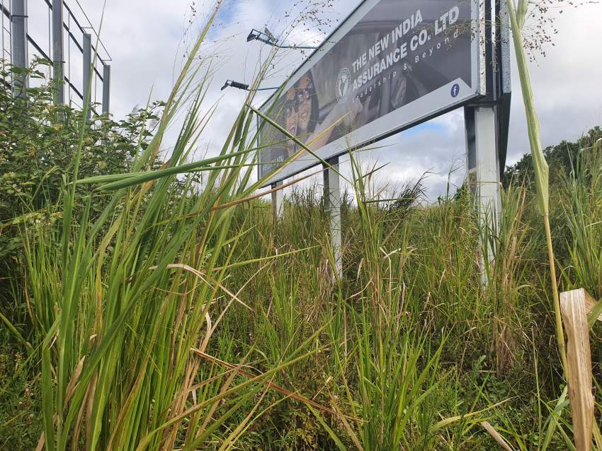 Agricultural land on Aster Vender
