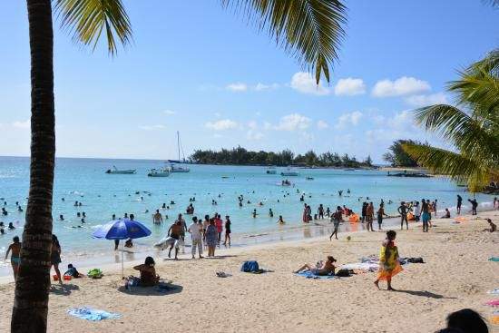 Terrain grand baie 4312m2 - 4 - Land  on Aster Vender