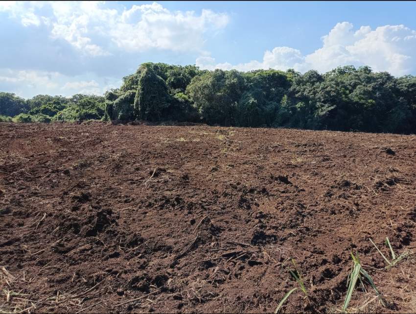 Agricultural Land on Aster Vender