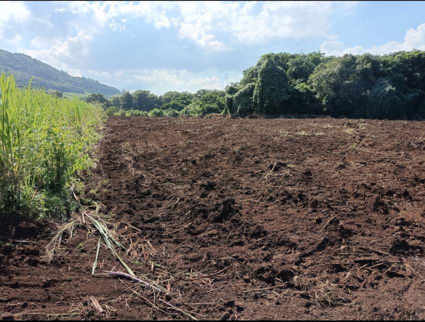 Agricultural Land - 1 - Land  on Aster Vender