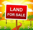 6 PERCHES IN SOLFERINO NO 5 - 0 - Land  on Aster Vender
